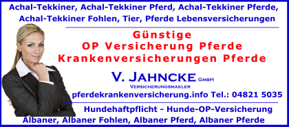 OP-Versicherung-Pferde